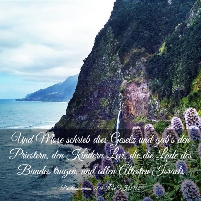 Picture 03 - Deuteronomium 31:9 LUTH1912 - Und Mose schrieb dies Gesetz und gab's den - Bible Verse Picture