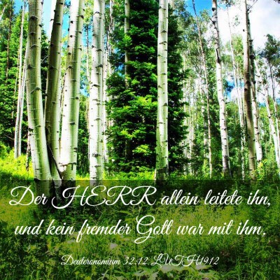 Picture 03 - Deuteronomium 32:12 LUTH1912 - Der HERR allein leitete ihn, und kein fremder - Bible Verse Picture