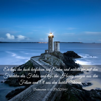 Picture 03 - Deuteronomium 32:13 LUTH1912 - Er ließ ihn hoch herfahren auf Erden und nährte - Bible Verse Picture