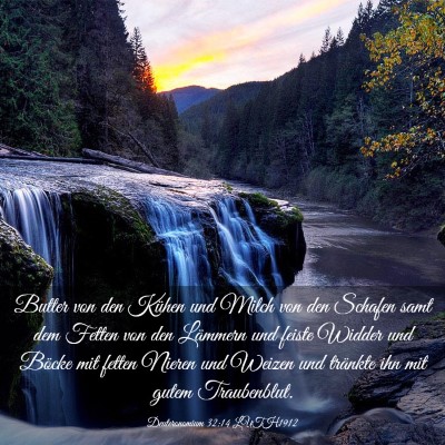 Picture 03 - Deuteronomium 32:14 LUTH1912 - Butter von den Kühen und Milch von den Schafen - Bible Verse Picture