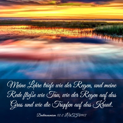 Picture 03 - Deuteronomium 32:2 LUTH1912 - Meine Lehre triefe wie der Regen, und meine Rede - Bible Verse Picture