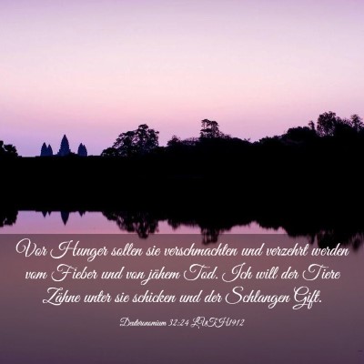 Picture 03 - Deuteronomium 32:24 LUTH1912 - Vor Hunger sollen sie verschmachten und verzehrt - Bible Verse Picture