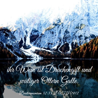 Picture 03 - Deuteronomium 32:33 LUTH1912 - ihr Wein ist Drachengift und wütiger Ottern - Bible Verse Picture