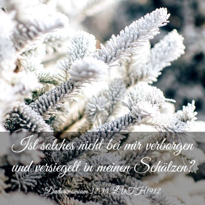 Picture 03 - Deuteronomium 32:34 LUTH1912 - Ist solches nicht bei mir verborgen und - Bible Verse Picture