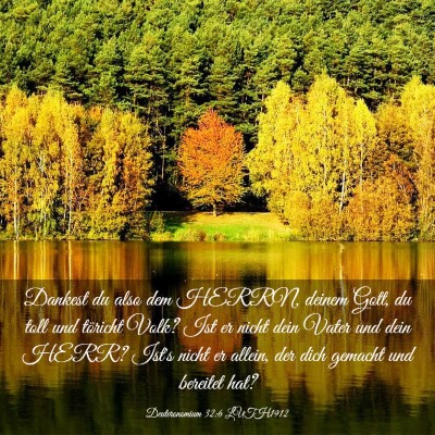Picture 03 - Deuteronomium 32:6 LUTH1912 - Dankest du also dem HERRN, deinem Gott, du toll - Bible Verse Picture