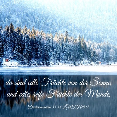 Picture 03 - Deuteronomium 33:14 LUTH1912 - da sind edle Früchte von der Sonne, und edle, - Bible Verse Picture
