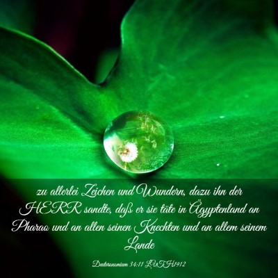 Picture 03 - Deuteronomium 34:11 LUTH1912 - zu allerlei Zeichen und Wundern, dazu ihn der - Bible Verse Picture