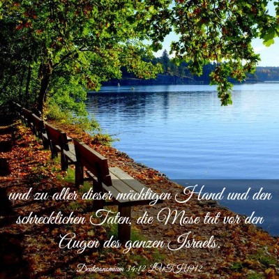 Picture 03 - Deuteronomium 34:12 LUTH1912 - und zu aller dieser mächtigen Hand und den - Bible Verse Picture