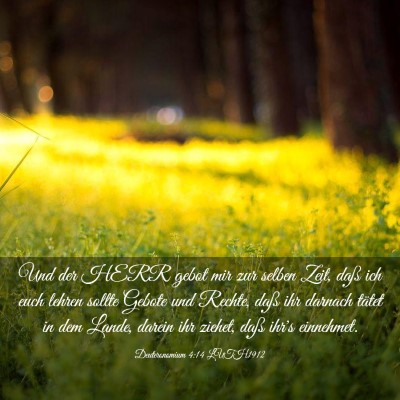 Picture 03 - Deuteronomium 4:14 LUTH1912 - Und der HERR gebot mir zur selben Zeit, daß ich - Bible Verse Picture