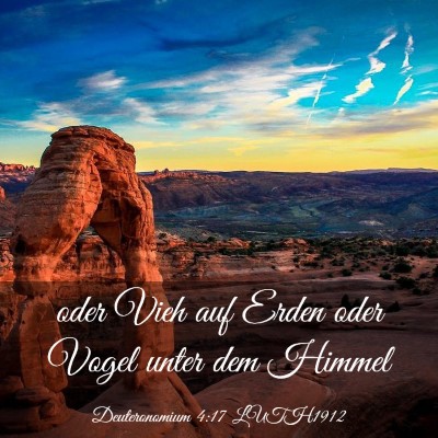 Picture 03 - Deuteronomium 4:17 LUTH1912 - oder Vieh auf Erden oder Vogel unter dem - Bible Verse Picture