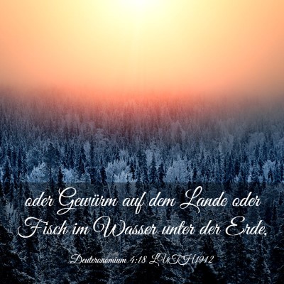 Picture 03 - Deuteronomium 4:18 LUTH1912 - oder Gewürm auf dem Lande oder Fisch im Wasser - Bible Verse Picture