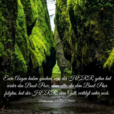 Picture 03 - Deuteronomium 4:3 LUTH1912 - Eure Augen haben gesehen, was der HERR getan hat - Bible Verse Picture