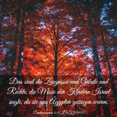 Picture 03 - Deuteronomium 4:45 LUTH1912 - Das sind die Zeugnisse und Gebote und Rechte, die - Bible Verse Picture