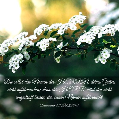 Picture 03 - Deuteronomium 5:11 LUTH1912 - Du sollst den Namen des HERRN, deines Gottes, - Bible Verse Picture