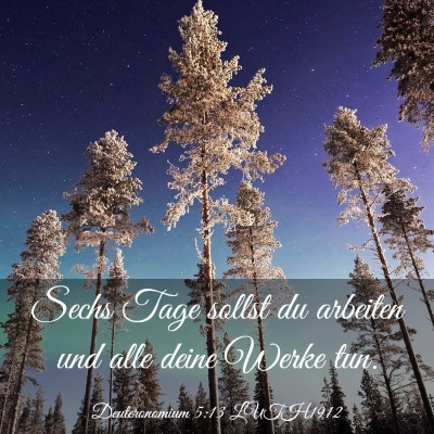 Picture 03 - Deuteronomium 5:13 LUTH1912 - Sechs Tage sollst du arbeiten und alle deine - Bible Verse Picture