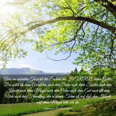 Picture 03 - Deuteronomium 5:14 LUTH1912 - Aber am siebenten Tage ist der Sabbat des HERRN, - Bible Verse Picture