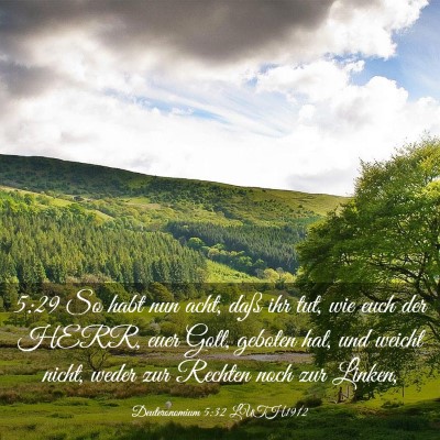 Picture 03 - Deuteronomium 5:32 LUTH1912 - 5:29 So habt nun acht, daß ihr tut, wie euch der - Bible Verse Picture