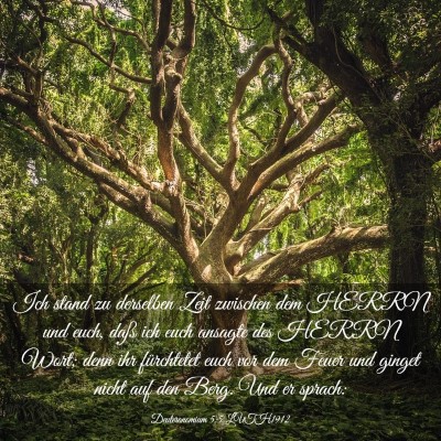Picture 03 - Deuteronomium 5:5 LUTH1912 - Ich stand zu derselben Zeit zwischen dem HERRN - Bible Verse Picture