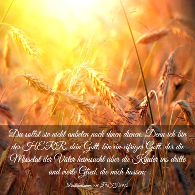 Picture 03 - Deuteronomium 5:9 LUTH1912 - Du sollst sie nicht anbeten noch ihnen dienen. - Bible Verse Picture