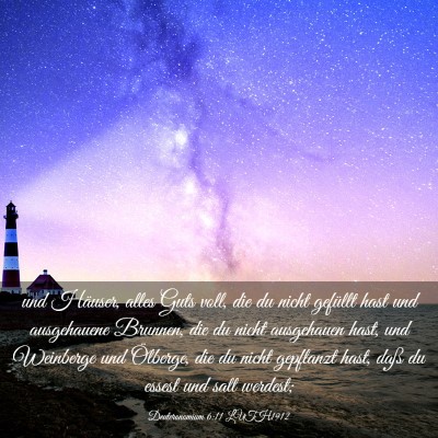Picture 03 - Deuteronomium 6:11 LUTH1912 - und Häuser, alles Guts voll, die du nicht - Bible Verse Picture
