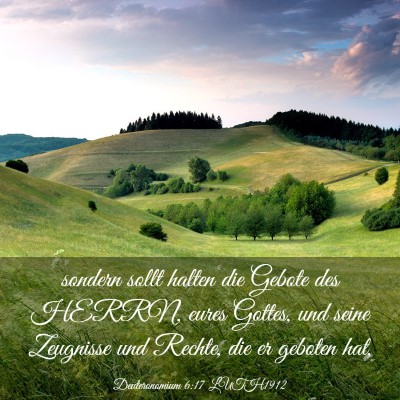 Picture 03 - Deuteronomium 6:17 LUTH1912 - sondern sollt halten die Gebote des HERRN, eures - Bible Verse Picture