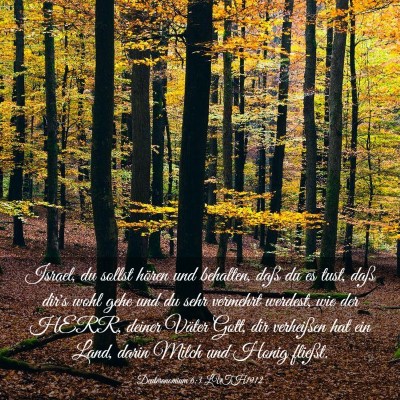 Picture 03 - Deuteronomium 6:3 LUTH1912 - Israel, du sollst hören und behalten, daß du es - Bible Verse Picture