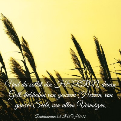 Picture 03 - Deuteronomium 6:5 LUTH1912 - Und du sollst den HERRN, deinen Gott, liebhaben - Bible Verse Picture