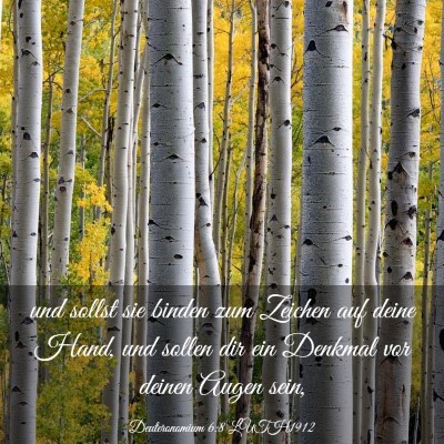 Picture 03 - Deuteronomium 6:8 LUTH1912 - und sollst sie binden zum Zeichen auf deine Hand, - Bible Verse Picture