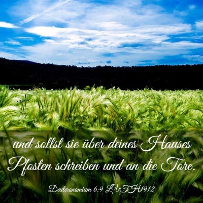 Picture 03 - Deuteronomium 6:9 LUTH1912 - und sollst sie über deines Hauses Pfosten - Bible Verse Picture
