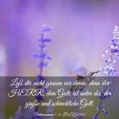 Picture 03 - Deuteronomium 7:21 LUTH1912 - Laß dir nicht grauen vor ihnen; denn der HERR, - Bible Verse Picture