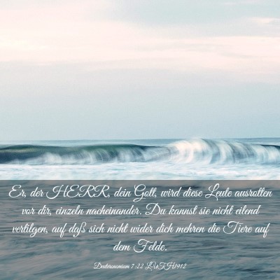 Picture 03 - Deuteronomium 7:22 LUTH1912 - Er, der HERR, dein Gott, wird diese Leute - Bible Verse Picture