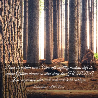 Picture 03 - Deuteronomium 7:4 LUTH1912 - Denn sie werden eure Söhne mir abfällig machen, - Bible Verse Picture