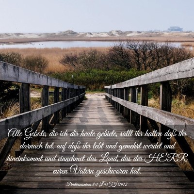 Picture 03 - Deuteronomium 8:1 LUTH1912 - Alle Gebote, die ich dir heute gebiete, sollt ihr - Bible Verse Picture