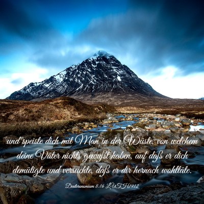 Picture 03 - Deuteronomium 8:16 LUTH1912 - und speiste dich mit Man in der Wüste, von - Bible Verse Picture