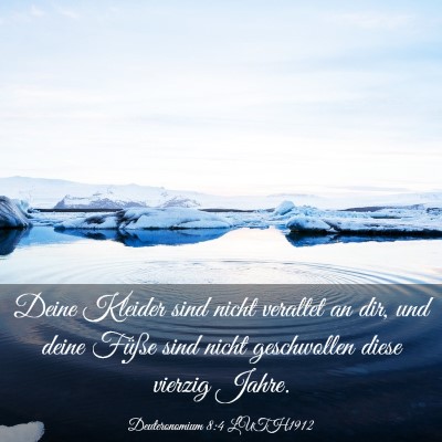 Picture 03 - Deuteronomium 8:4 LUTH1912 - Deine Kleider sind nicht veraltet an dir, und - Bible Verse Picture