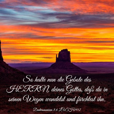 Picture 03 - Deuteronomium 8:6 LUTH1912 - So halte nun die Gebote des HERRN, deines Gottes, - Bible Verse Picture