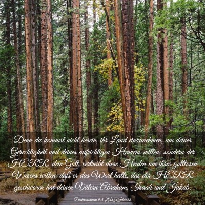 Picture 03 - Deuteronomium 9:5 LUTH1912 - Denn du kommst nicht herein, ihr Land - Bible Verse Picture