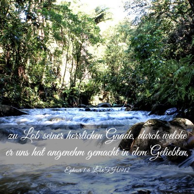 Picture 03 - Epheser 1:6 LUTH1912 - zu Lob seiner herrlichen Gnade, durch welche er - Bible Verse Picture