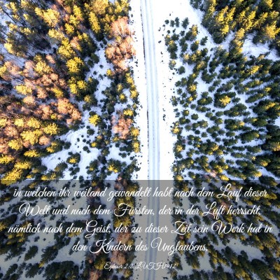 Picture 03 - Epheser 2:2 LUTH1912 - in welchen ihr weiland gewandelt habt nach dem - Bible Verse Picture