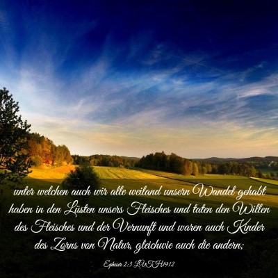 Picture 03 - Epheser 2:3 LUTH1912 - unter welchen auch wir alle weiland unsern Wandel - Bible Verse Picture