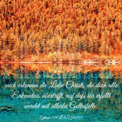 Picture 03 - Epheser 3:19 LUTH1912 - auch erkennen die Liebe Christi, die doch alle - Bible Verse Picture