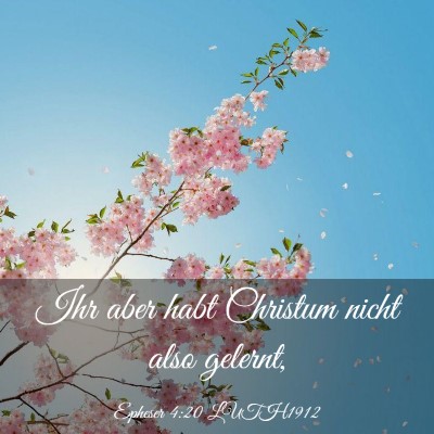 Picture 03 - Epheser 4:20 LUTH1912 - Ihr aber habt Christum nicht also - Bible Verse Picture