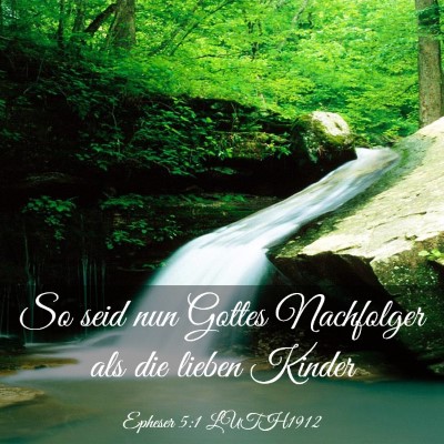 Picture 03 - Epheser 5:1 LUTH1912 - So seid nun Gottes Nachfolger als die lieben - Bible Verse Picture
