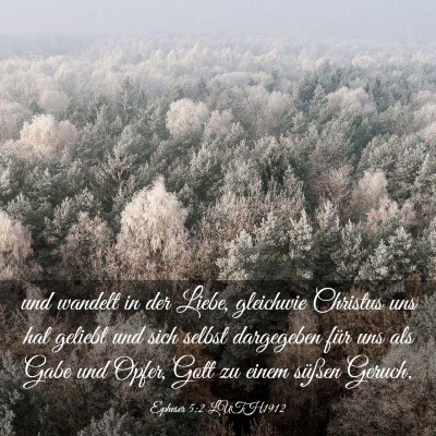 Picture 03 - Epheser 5:2 LUTH1912 - und wandelt in der Liebe, gleichwie Christus uns - Bible Verse Picture