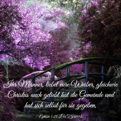Picture 03 - Epheser 5:25 LUTH1912 - Ihr Männer, liebet eure Weiber, gleichwie - Bible Verse Picture