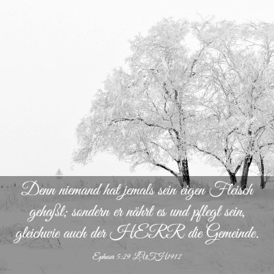 Picture 03 - Epheser 5:29 LUTH1912 - Denn niemand hat jemals sein eigen Fleisch - Bible Verse Picture