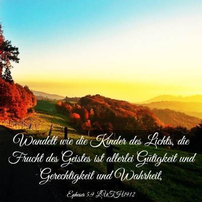 Picture 03 - Epheser 5:9 LUTH1912 - Wandelt wie die Kinder des Lichts, die Frucht des - Bible Verse Picture