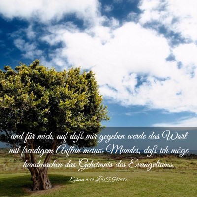 Picture 03 - Epheser 6:19 LUTH1912 - und für mich, auf daß mir gegeben werde das - Bible Verse Picture