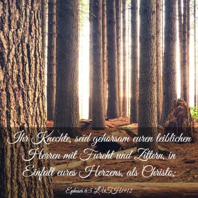 Picture 03 - Epheser 6:5 LUTH1912 - Ihr Knechte, seid gehorsam euren leiblichen - Bible Verse Picture