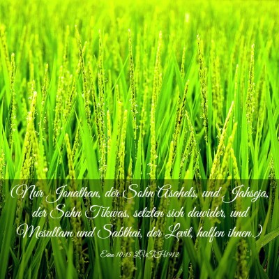 Picture 03 - Esra 10:15 LUTH1912 - (Nur Jonathan, der Sohn Asahels, und Jahseja, der - Bible Verse Picture
